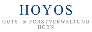Logo Hoyos
